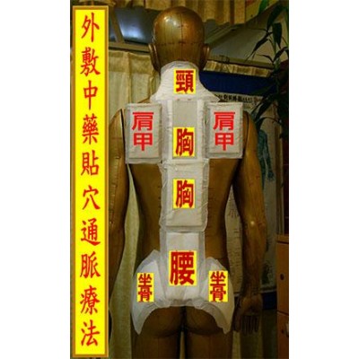 拈痛貼 Lim Tong Tip